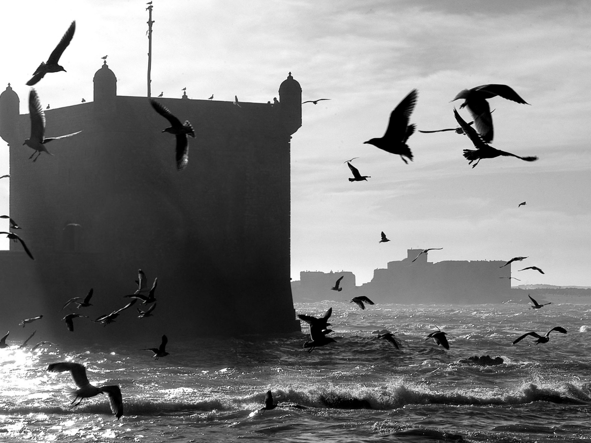 morocco desrt tours 2025 (29)